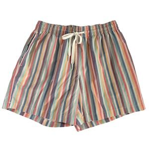 Chubbies Mens Swim Trunks XS Multi Color Vertical Stripe 5.5 Inch Inseam Lined